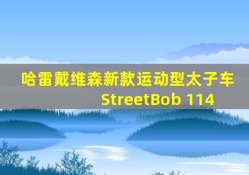 哈雷戴维森新款运动型太子车StreetBob 114